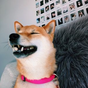 Meet your Posher, Beth